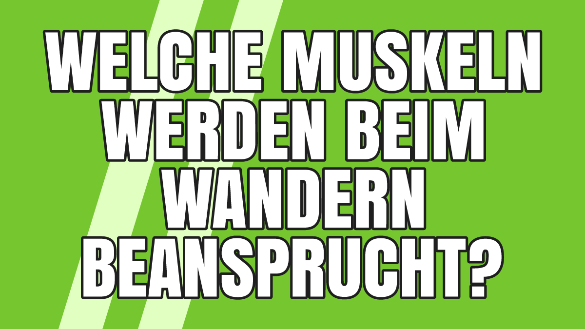 Welche Muskeln werden beim Wandern beansprucht?